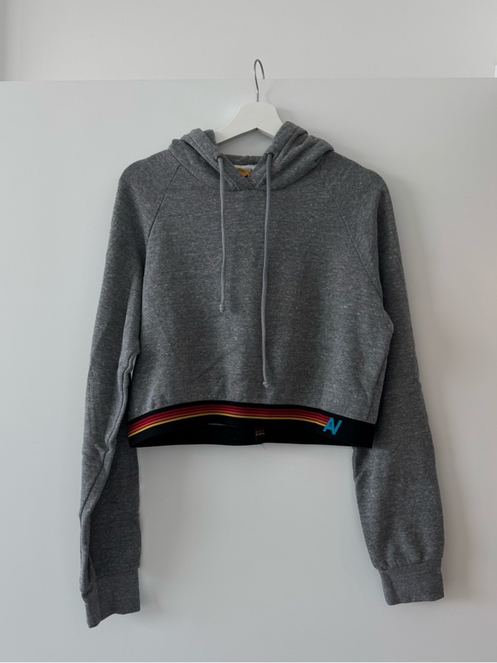 Aviator Nation Cropped Gray Hoodie